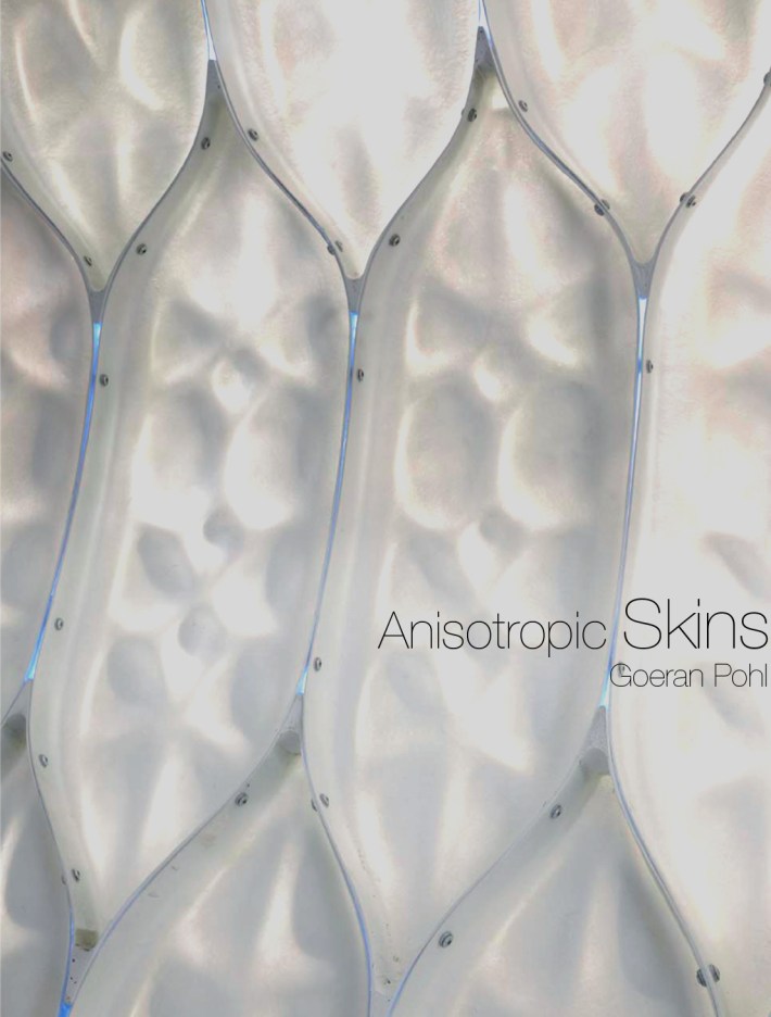 Goeran Pohl anisotropic skins- thumbnail